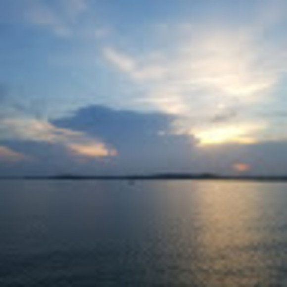 Meet your Posher, Patrick - Picture 1 of 1